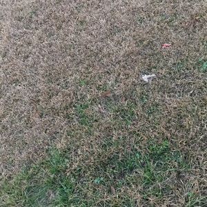 Meet your Posher, Terrion